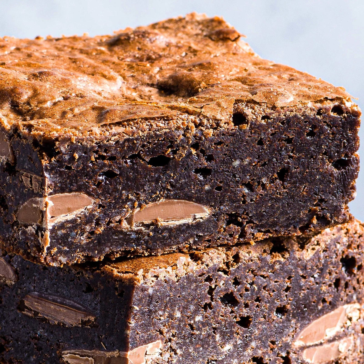 Double Chocolate Brownie